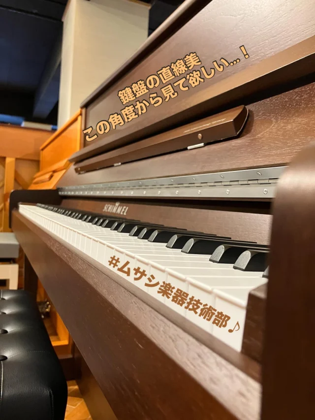 ★★★専門店整備済★シュベスター★No.51★オーバーホール（弦・他全交換）済み 専門店整備済☆シュベスター☆No.51☆オーバーホール（弦・他全